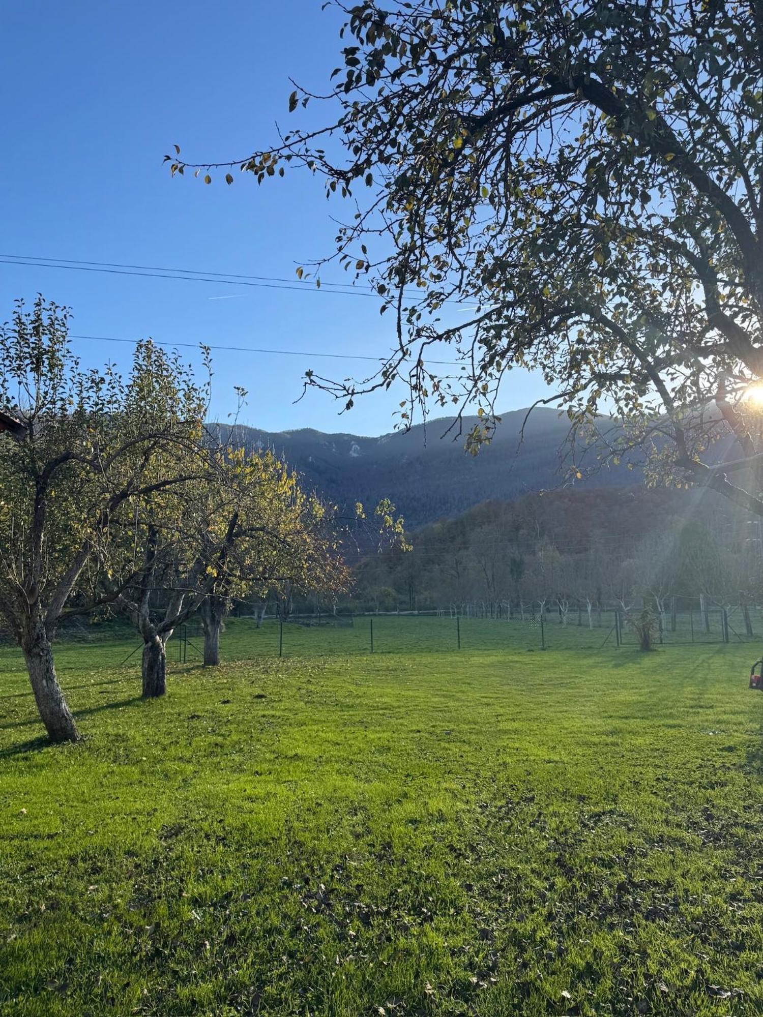 Kuca Za Odmor Dikka Brusane Lika Exterior foto